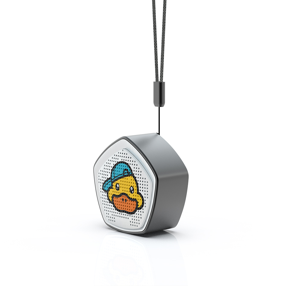 Portable Audio System